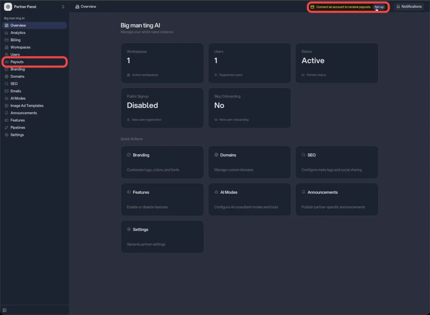 Payouts in the Partner Panel sidebar and the payout setup banner